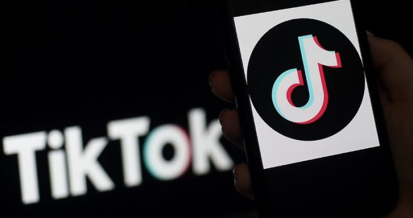 ilustrasi-tiktok-8_169